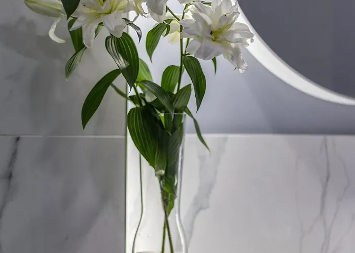 公寓 24 Premium Old Town